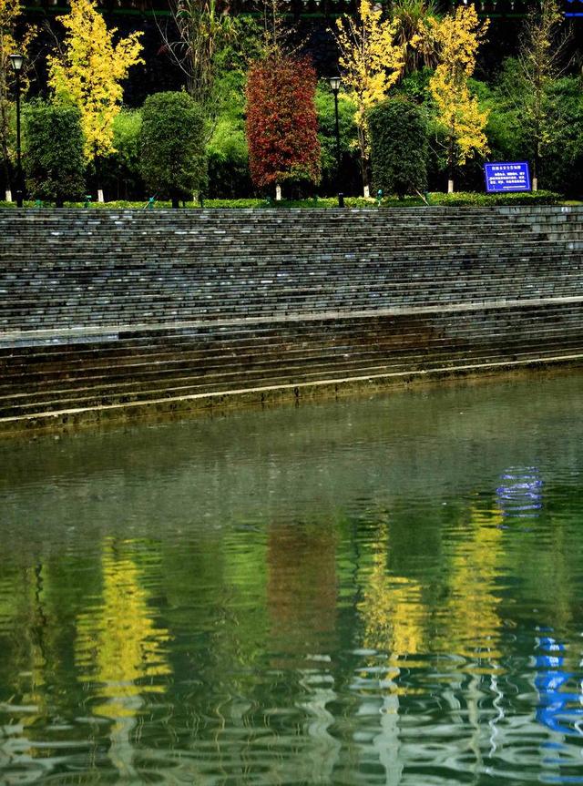 诗画冬日鹤峰：溇水波光里 银杏写诗篇