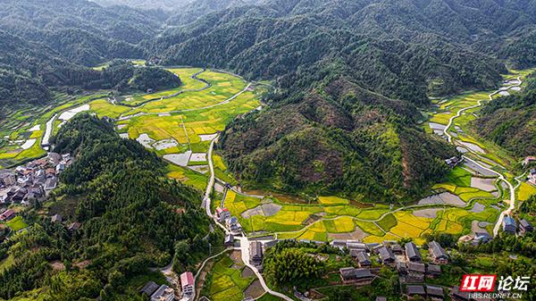 湖南通道侗寨：金秋“丰”景，藏在山水间的诗意画卷