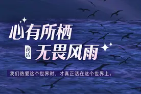 夜话丨心有所栖，无畏风雨图片