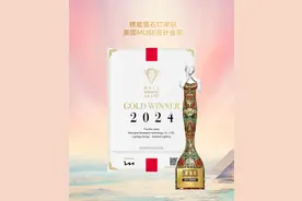 行业标杆！松江这家企业产品获国际大奖图片