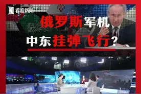 前所未有！四架苏-35载弹护航普京出访中东图片