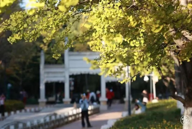 超绝出片攻略！滇池畔的秋天，把“童话”搬进了现实！这一波必须冲~