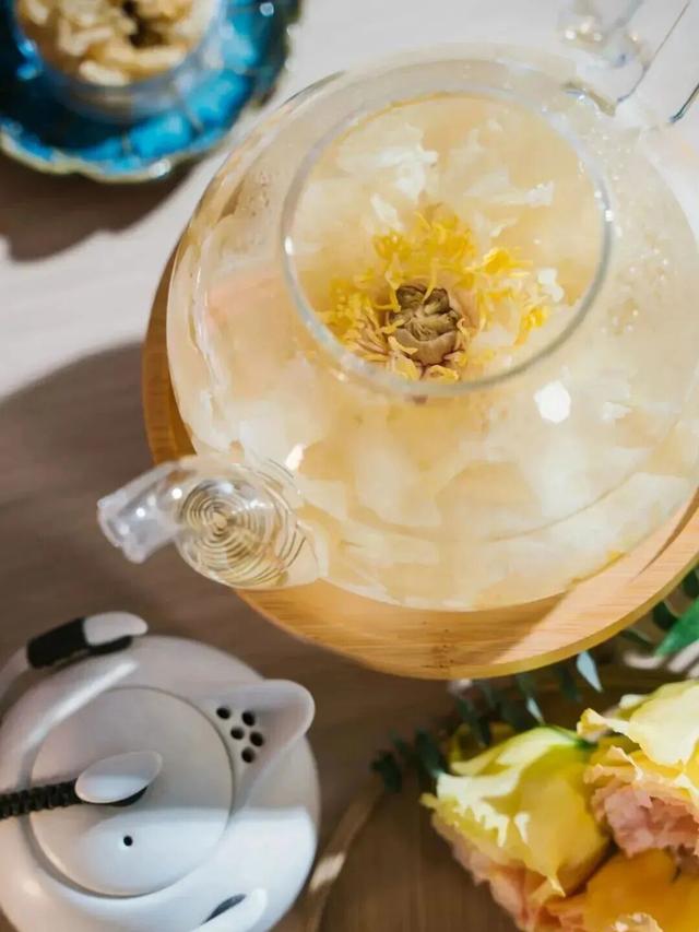 起猛了，我在洛阳被「牡丹」包围了！