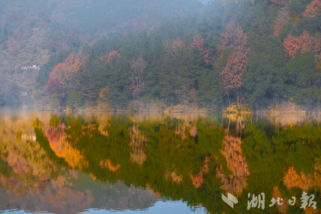 蕲春塔林的秋天，让人不愿离开