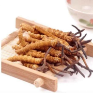 阴虚火旺可以吃花胶 2026年阴虚火旺可以吃花胶炖牛奶吗