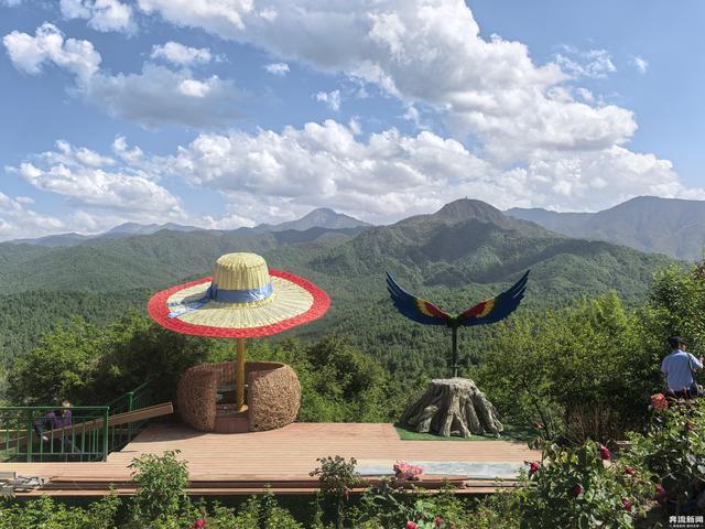 “媒好康乐”采风行① 丨康乐白桦林，四季皆宜的绝美旅游目的地