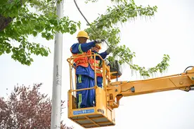北京将进入杨柳飞絮高发期 科学推进综合防治图片