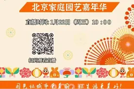10点开始直播丨高山杜鹃靓京城图片