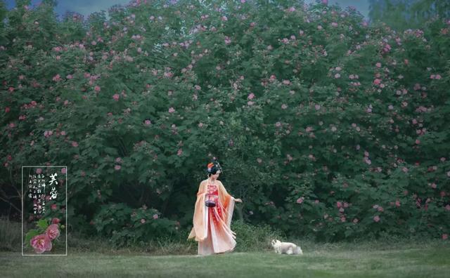 青白江版「技能五子棋」通关指南！这波操作抽象又好耍！