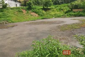 举报有奖！湖北公布新一批生态环境执法典型案例图片