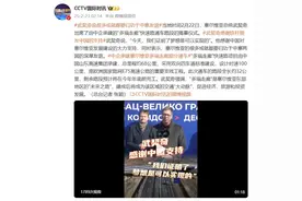 武契奇：塞尔维亚很多成就都要归功于中塞两国深厚友谊图片