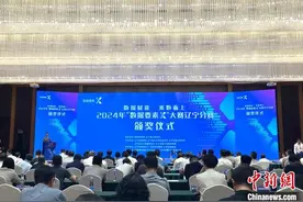 “数据要素×”大赛辽宁分赛落幕 529支团队竞技跑出加“数”度图片