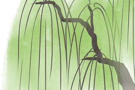 龙南市2024年暑期“三下乡”社会实践活动纪实——赣南科技学院信息工程学院图片