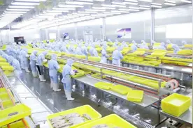 新质供给助外贸工厂成功转内销：85后海归拼多多卖鱿鱼仔年销千万图片