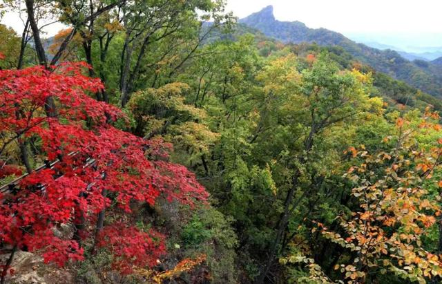 秋韵满山间！抚顺天女山首届枫叶音乐节开幕