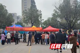 东安县白牙市镇青土坪社区：春风暖人心 就业送真情图片