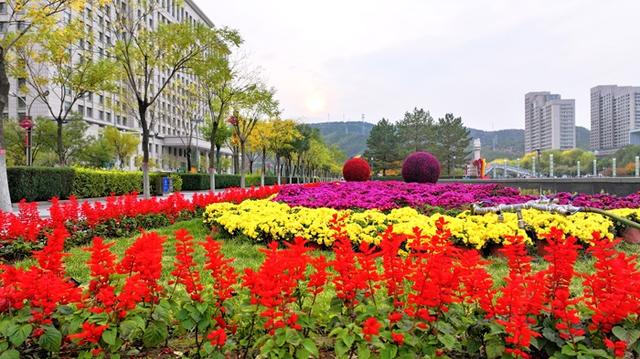 神木滨河新区秋色如画 邂逅诗意生态美景
