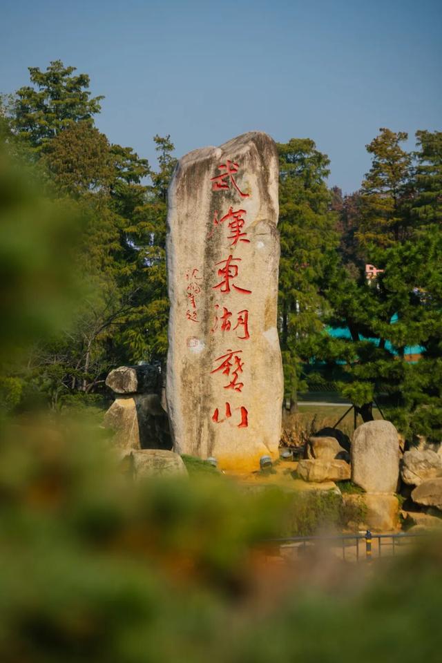 东湖秋日图鉴③｜磨山秋笺：一叶一诗，帧帧藏秋韵