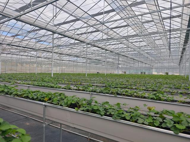 莲都人周末新去处！打卡“现实版开心农场”