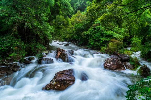 清清东江源，悠悠三百山