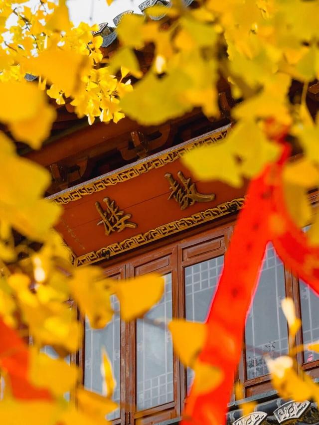 秋日限定“双骄”：从赏到玩转的完整攻略！