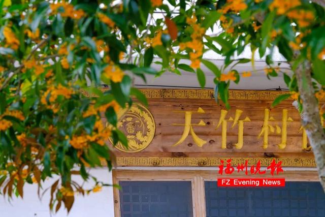 免费开放！福州这个网红村，桂花飘香！