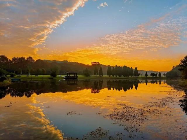 藏不住了！看一眼就“沦陷”！