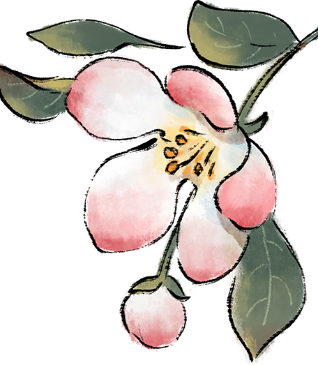 域见上海·域见奉贤｜冬春之交顶流花神C位出道！海湾国家森林公园梅花节定档大年初一