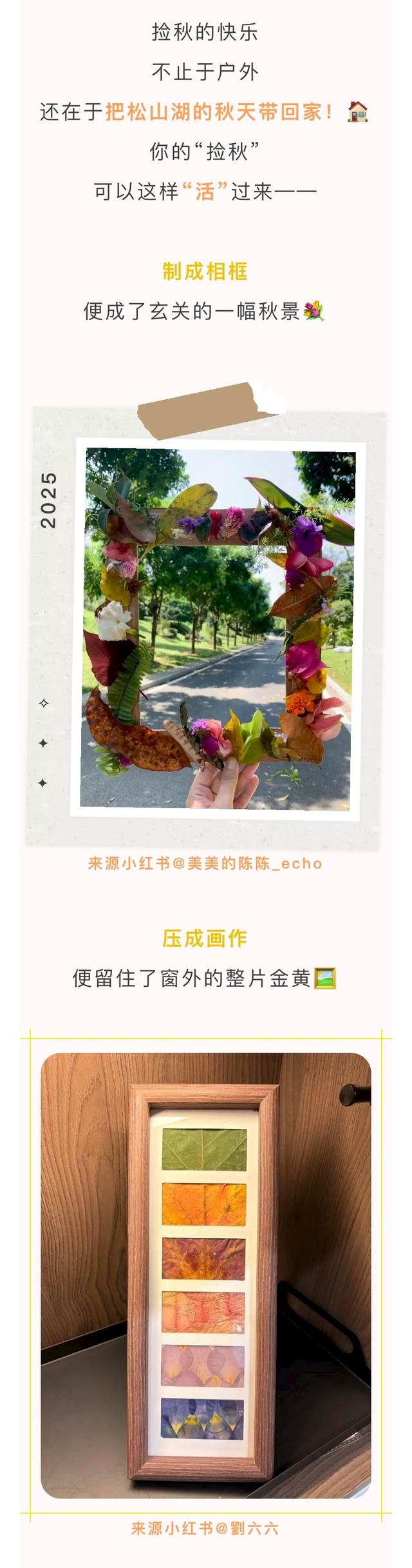 最美松湖｜烦恼No，捡秋Go！来这里一键切换治愈模式