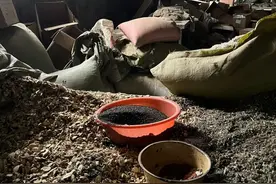 315暗访｜网红足浴包细菌“爆表”，涉北京同仁堂、马应龙等图片
