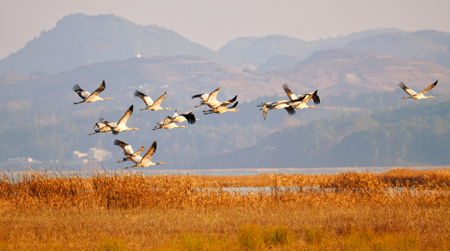 为什么冬天要来毕节？这就是答案→