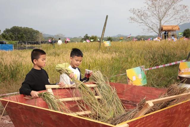 多图+视频！一起回看2025年白沙“啦奥门”雨林与您山兰文化活动精彩瞬间