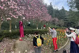 赏百花享春光！重庆园博园八大春季游园活动邀你来耍图片