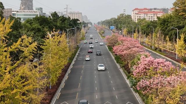 柳州，彩色刷屏！大反转也要来了！