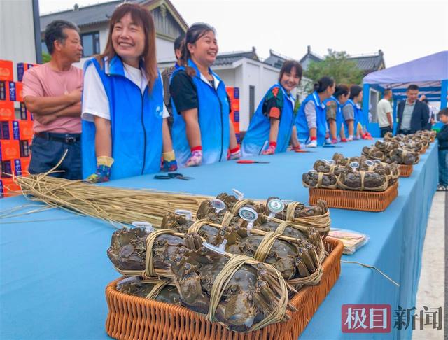 湖北一地“蟹王”“蟹后”拍出1.9万