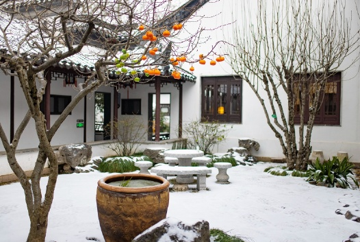 听，秦淮雪落下的声音