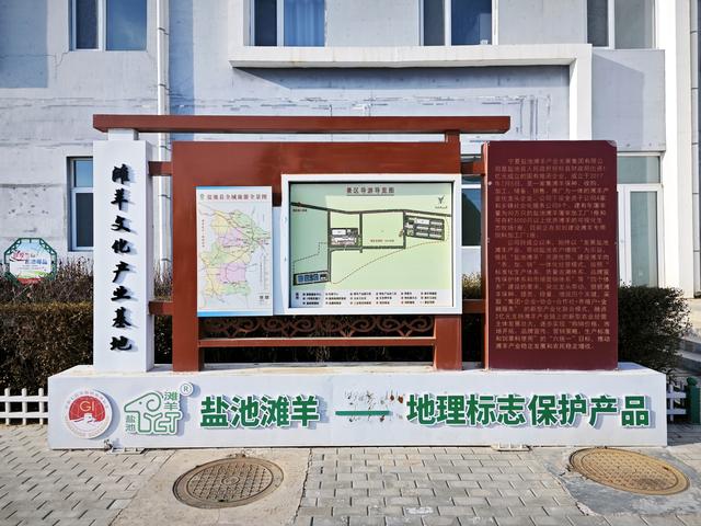 12条百年古渠，怎样养活793家早茶店与120亿品牌？丨何以中国·越山向海踏千澜