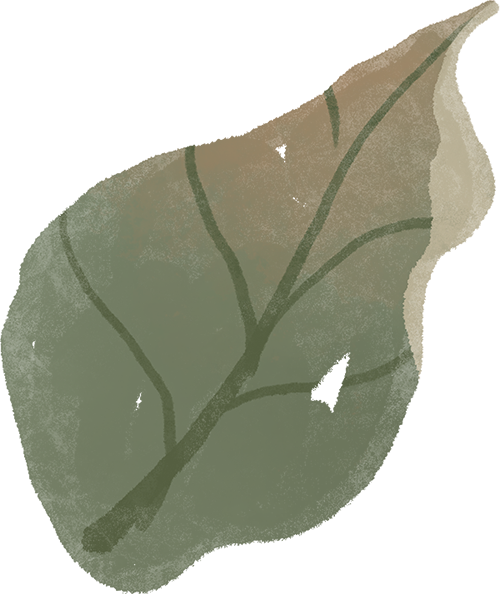 200元起飞！许多巴彦淖尔人都忍不住了......