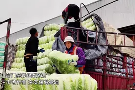 上海：寒潮来袭 多举措保障“菜篮子”供应图片