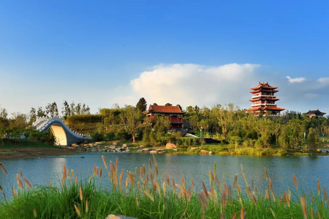 走，到郑州航空港“捡秋”去！丨港视角