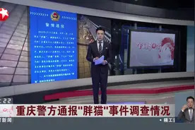 重庆警方通报“胖猫”事件调查情况 双方存在真实恋爱关系 谭某不构成诈骗犯罪视频封面