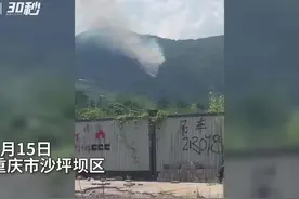 30秒 | 重庆沙坪坝翠峰山突发山火 消防直升机参与救援图片