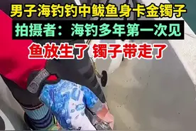 男子海钓钓中鲅鱼身卡金镯子，拍摄者：海钓多年第一次见，鱼放生了镯子带走了图片