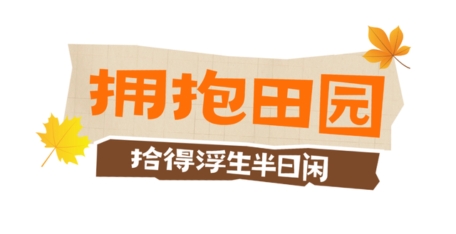 秋光正好，栖霞来邀