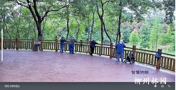 柳州市雀儿山公园观鸟平台焕新升级