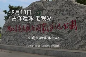 【视频】应城：古泽遗珠老观湖图片