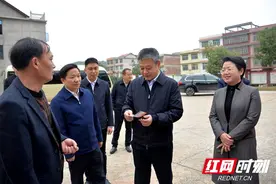 严华在邵东调研基层党建等工作图片