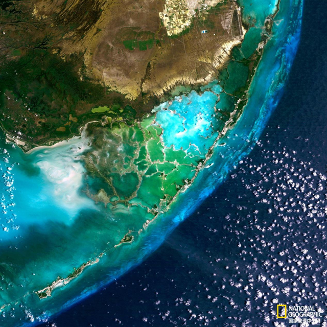 珊瑚礁集体遭热浪重创，关键物种功能性灭绝，20年修复难抵一次高温