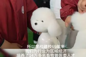 山东省畜牧兽医职业学院：建校69年，培养14万多名专业人才图片