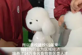 山东省畜牧兽医职业学院：建校69年，培养14万多名专业人才图片